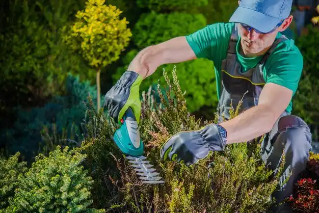 landscaping services Manitou Beach-Devils Lake